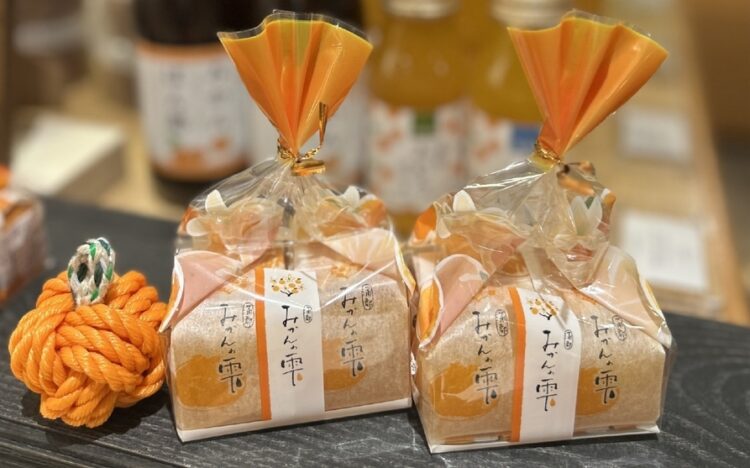 蒲郡みかん祭り～デジタルスタンプラリー～開催中