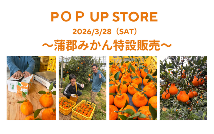 ～蒲郡みかん特設販売～※期間限定