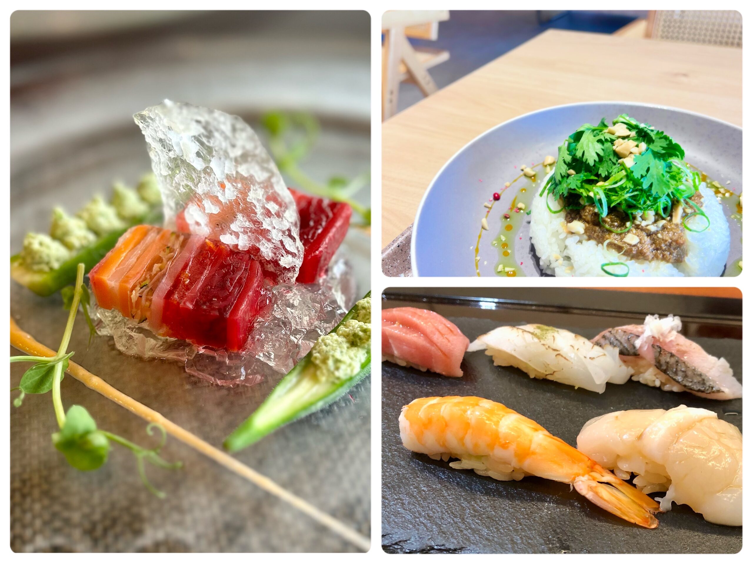 Mandarin oranges and deep-sea fish — Gamagori's local flavors, reimagined